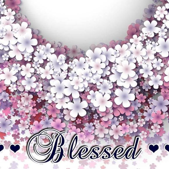 Meet your Posher, Rita - Picture 1 of 1